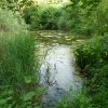 Am kleinen Weiher